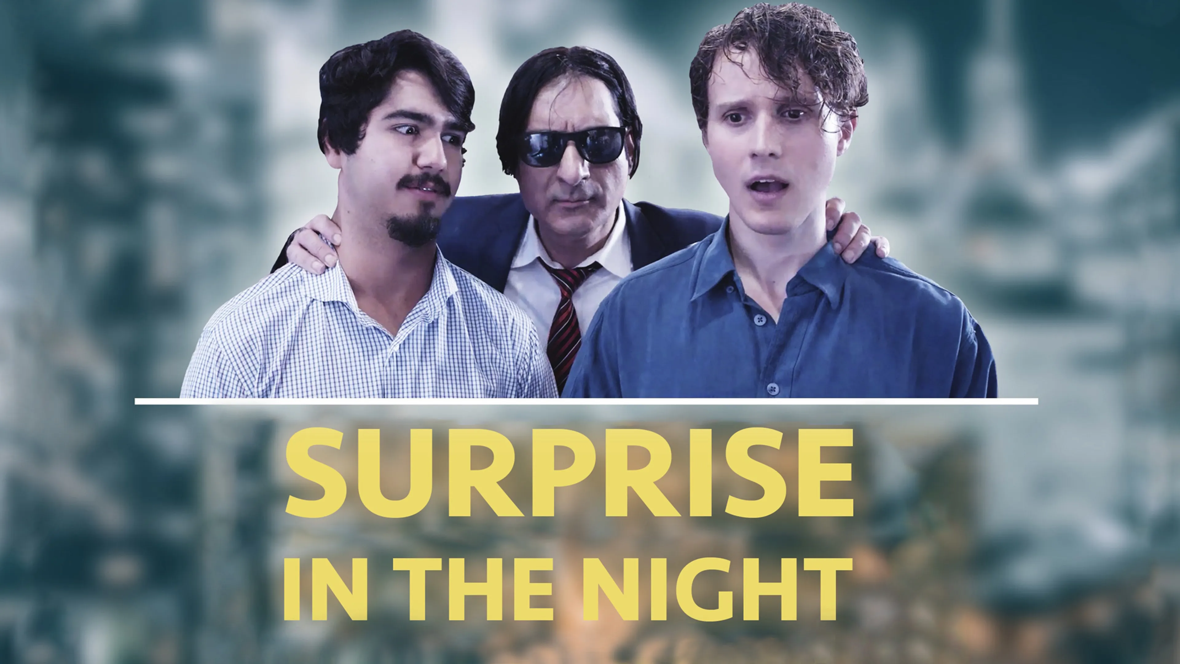 Surprise in the Night poster